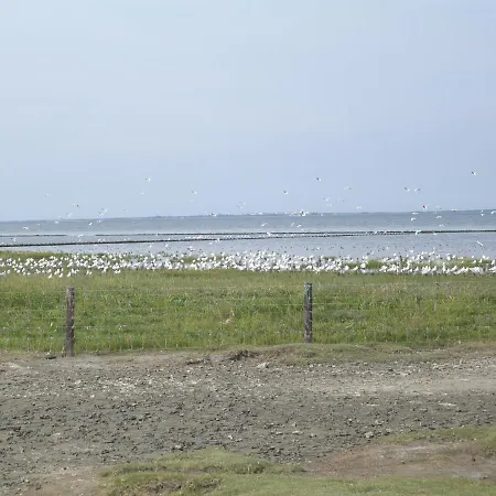 Am Nordseedeich In Alleinlage