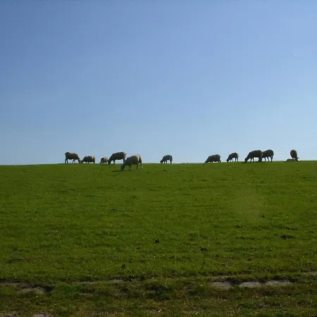 Am Nordseedeich In Alleinlage Casa vacanze *
