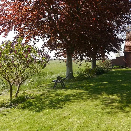 Ferienhaus Am Nordseedeich In Alleinlage