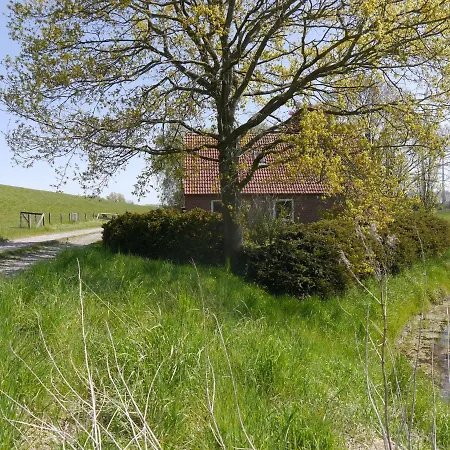 Nyaraló Am Nordseedeich In Alleinlage *