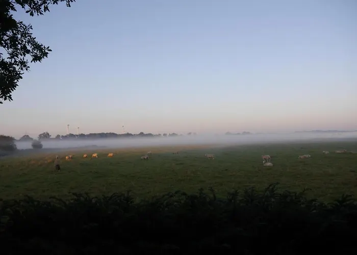 度假居 Am Nordseedeich In Alleinlage *