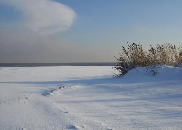 Nyaraló Am Nordseedeich In Alleinlage *