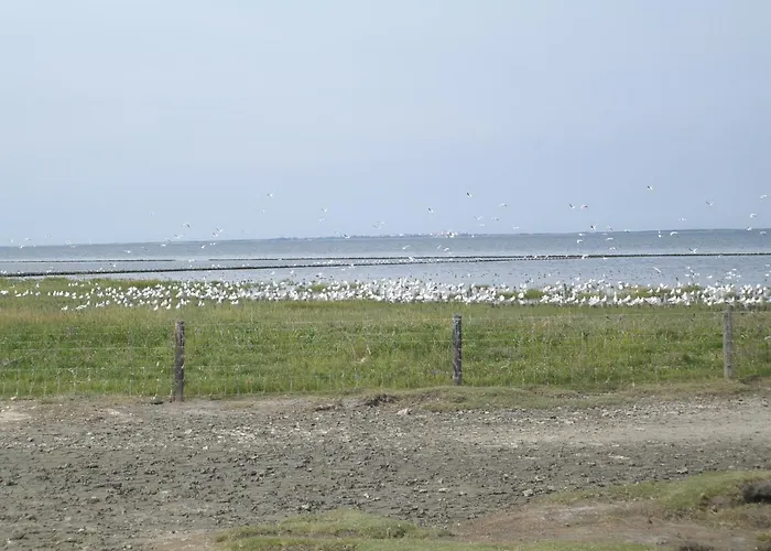 Am Nordseedeich In Alleinlage