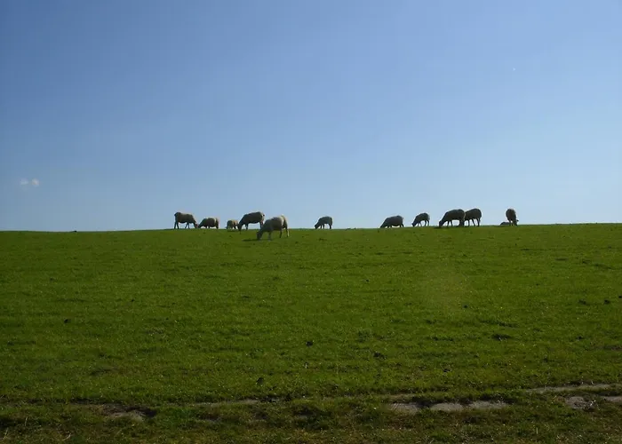 Am Nordseedeich In Alleinlage 度假居 *