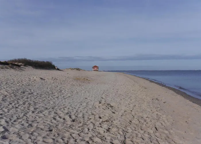 Am Nordseedeich In Alleinlage