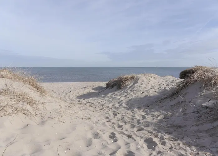 Am Nordseedeich In Alleinlage