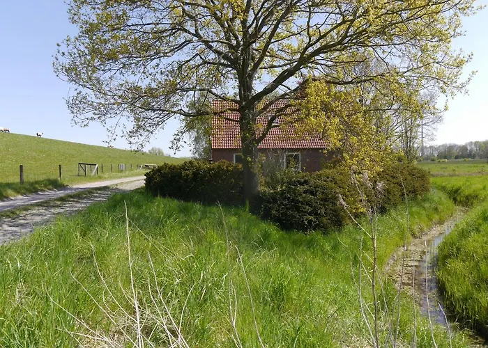 度假居 Am Nordseedeich In Alleinlage *